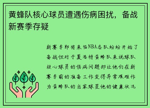 黄蜂队核心球员遭遇伤病困扰，备战新赛季存疑