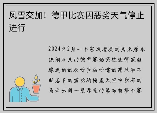 风雪交加！德甲比赛因恶劣天气停止进行